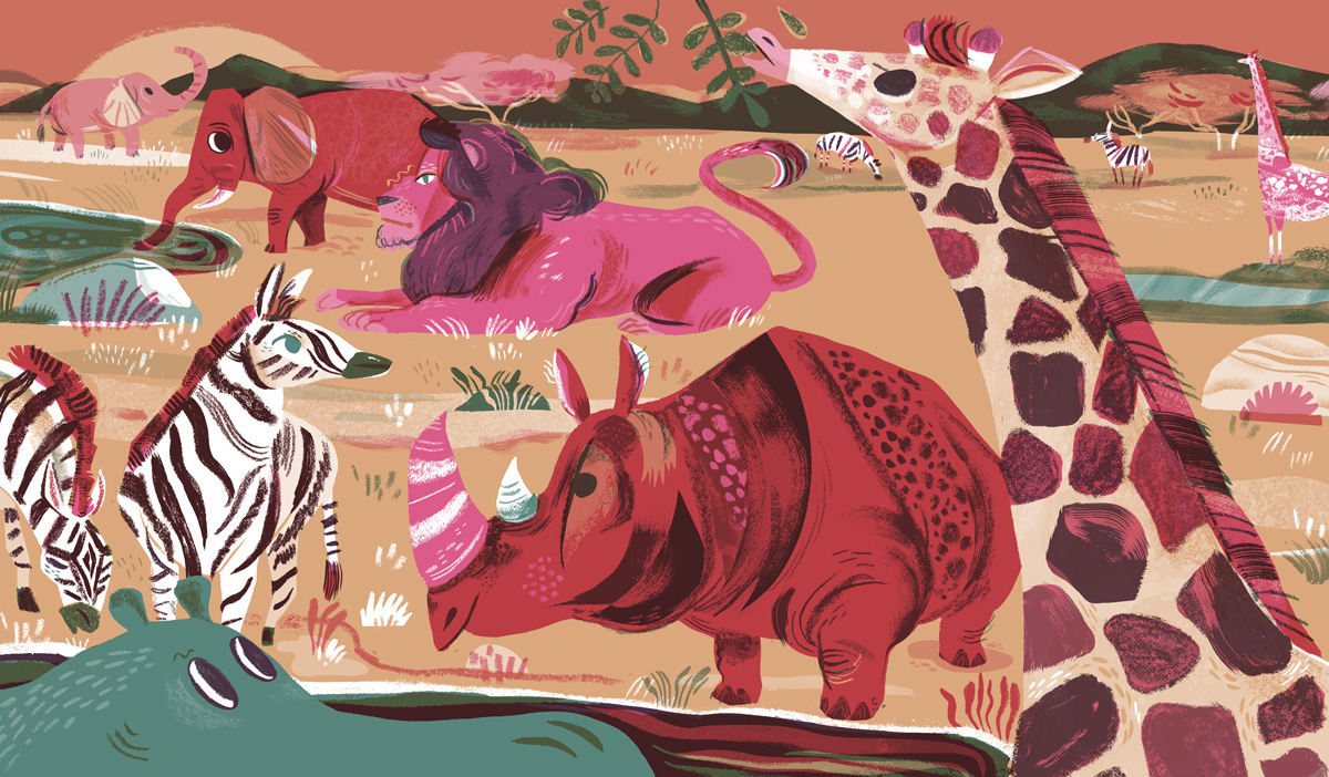 Meg Hunt Children's Book Illustrator Crazy Animal Face